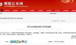 辽宁朝阳新闻爆料人,揭秘人生百态，聚焦社会热点